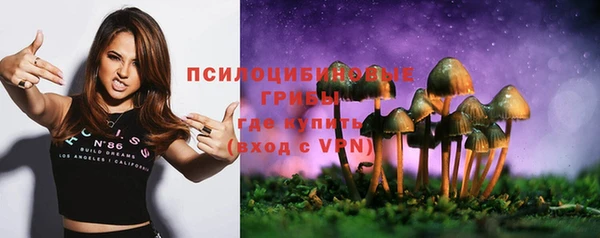 ALPHA-PVP Алексеевка