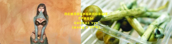 сатива Алексин