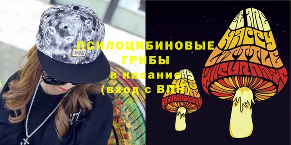гидропоника Нязепетровск